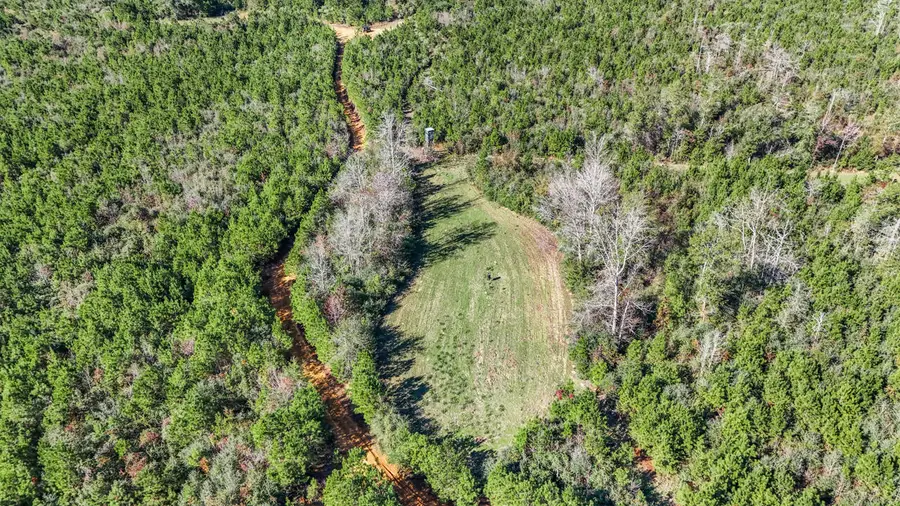 Hampton, Liberty, MS 39645 - #2