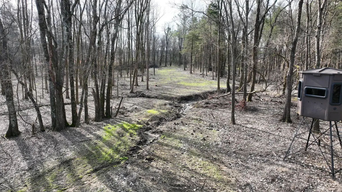 00 County Road 406, Houston, MS 38851 - #1