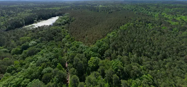 Fs 968.2, Ackerman, MS 39735