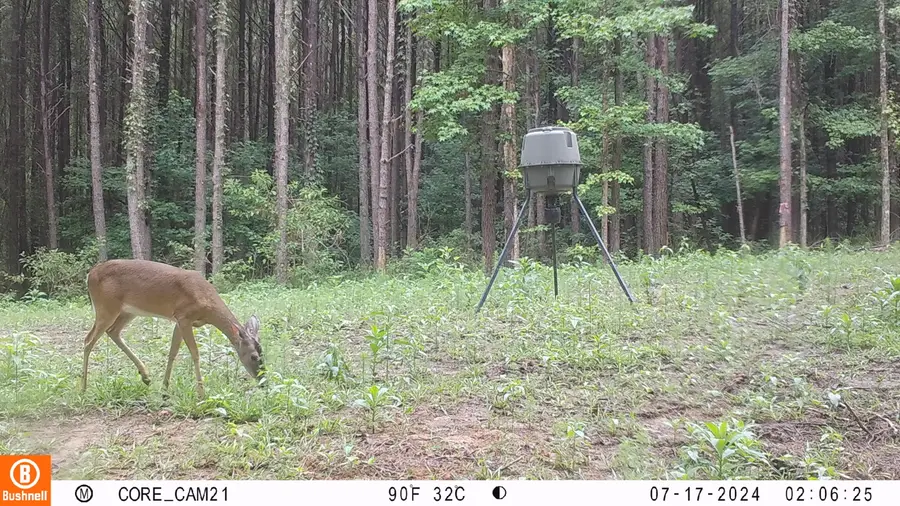 Fs 968.2, Ackerman, MS 39735 - #3