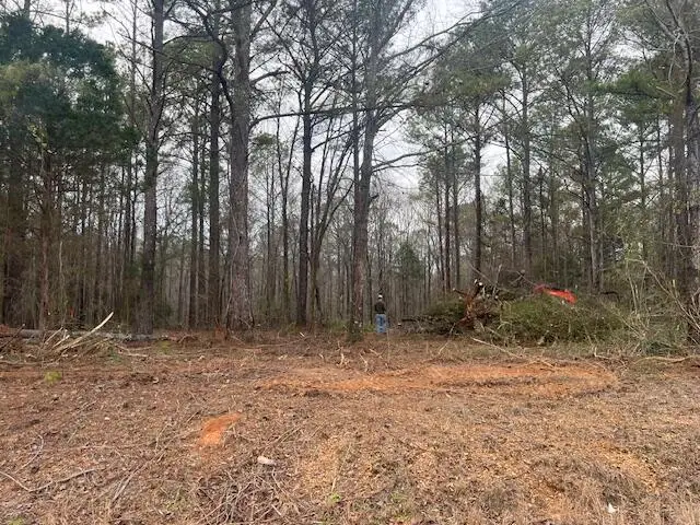 Wiley, Columbus, MS 39740 - #2