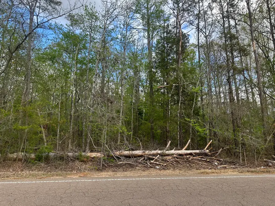 S Hatley, Amory, MS 38821 - #2