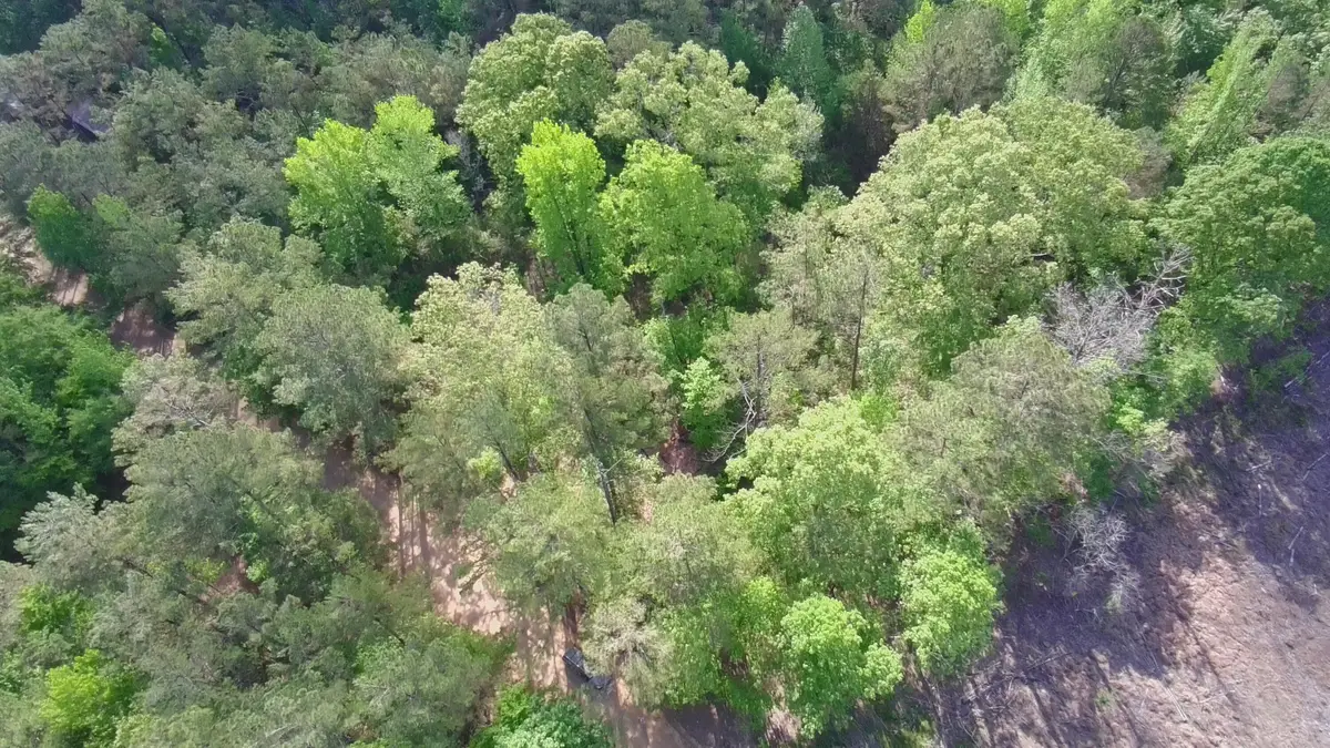 New Light, Sturgis, MS 39769 - #1