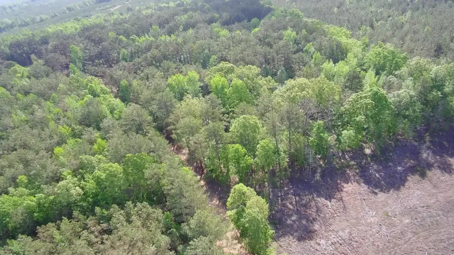 New Light, Sturgis, MS 39769 - #2