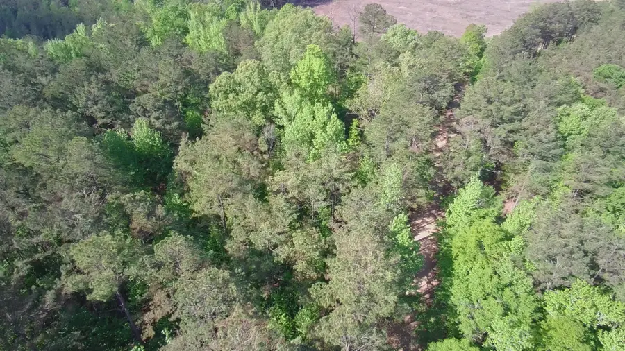 New Light, Sturgis, MS 39769 - #3