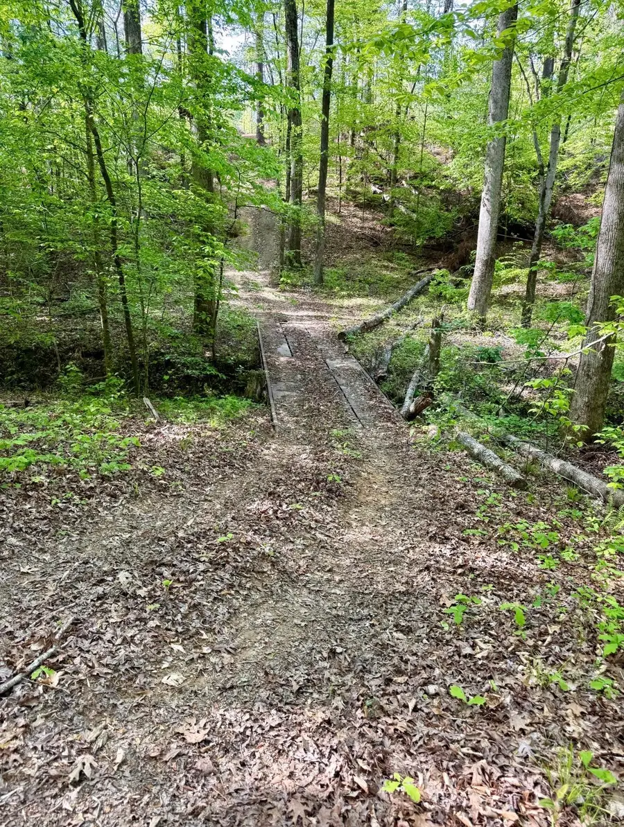 Mississippi 15, Ackerman, MS 39735 - #3