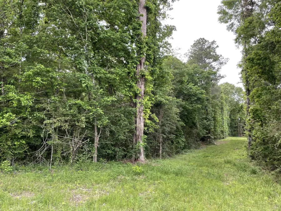 Hairston Bend, Columbus, MS 39702 - #2