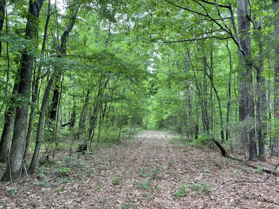 Hairston Bend, Columbus, MS 39702 - #3