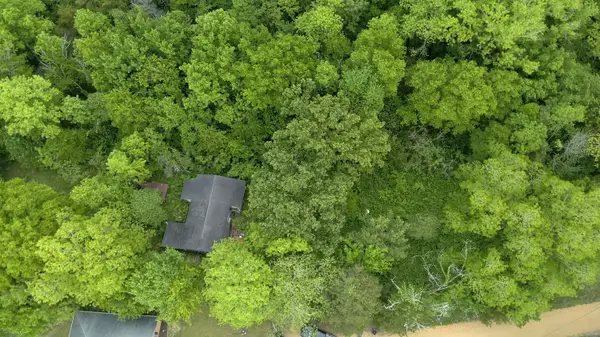 Grass, Starkville, MS 39759