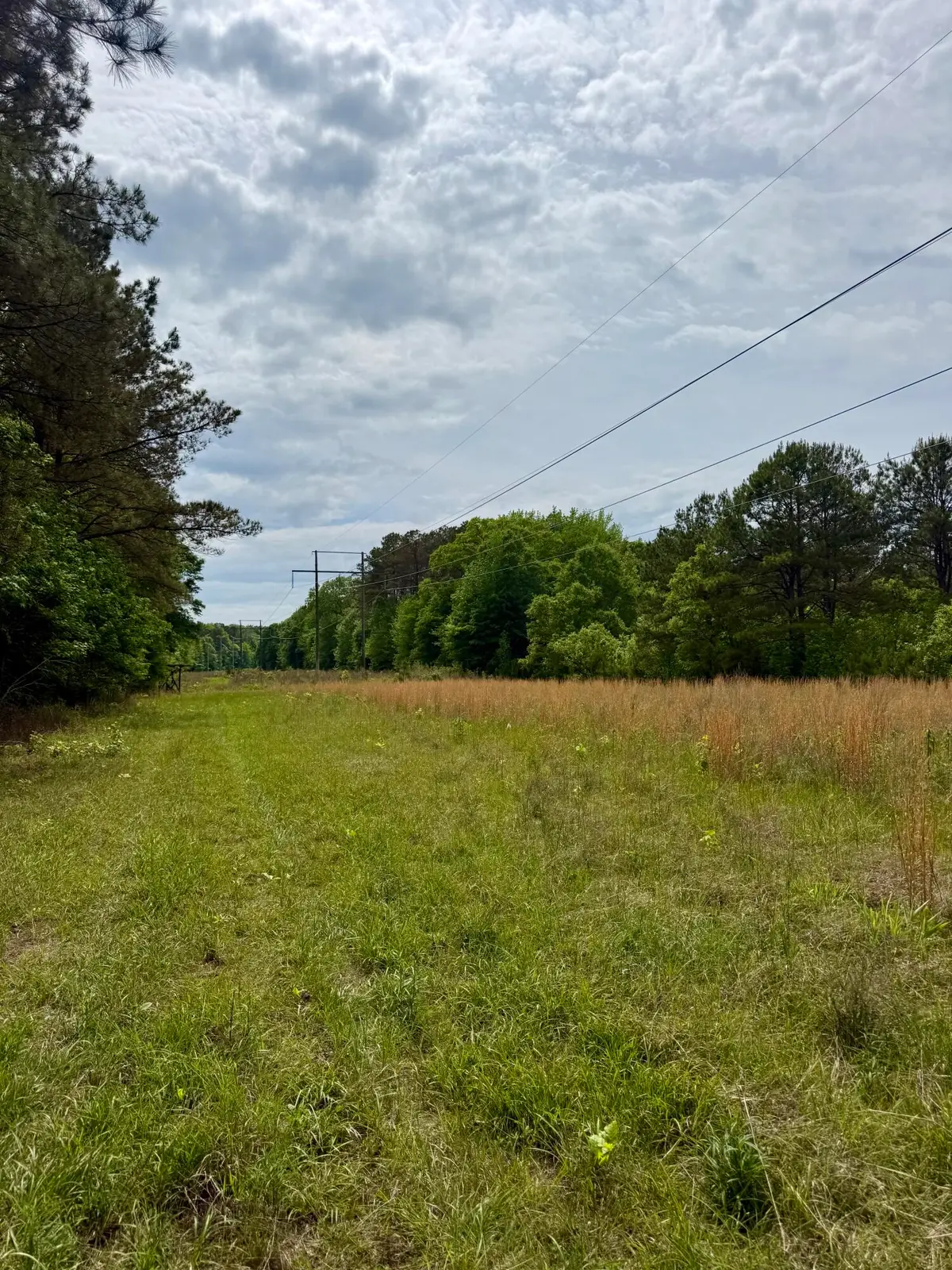 Mchann, Starkville, MS 39759 - #1