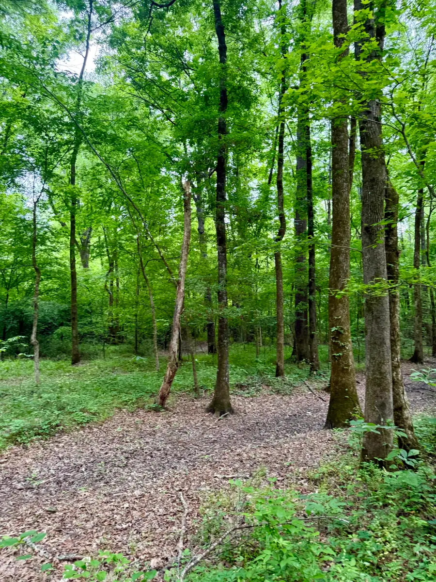 Mchann, Starkville, MS 39759 - #2