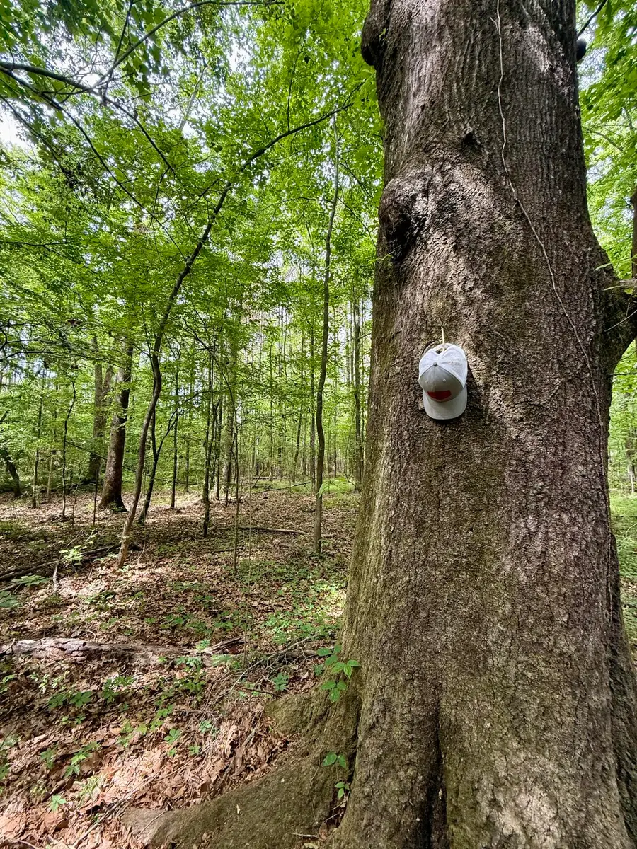 Mchann, Starkville, MS 39759 - #3