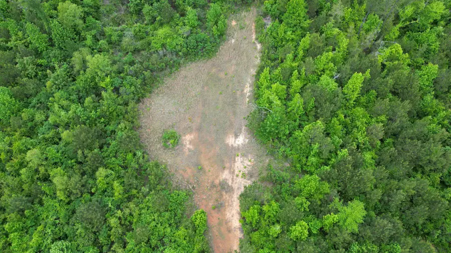 Kinard, Sturgis, MS 39769 - #3