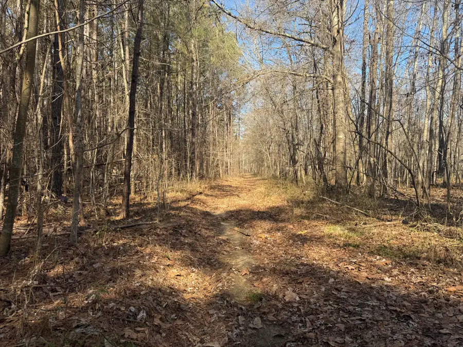 Happy Hollow, Woodland, MS 39776 - #3