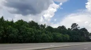 Lot1 and 2 Hwy 42 E, Petal, MS 39465 - #3