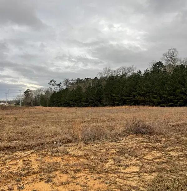 Lot 6 R A Johnson Dr., Columbia, MS 39429