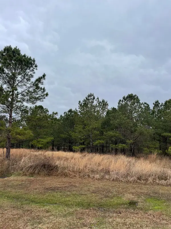 Lot 9 Sumrall Rd., Columbia, MS 39429