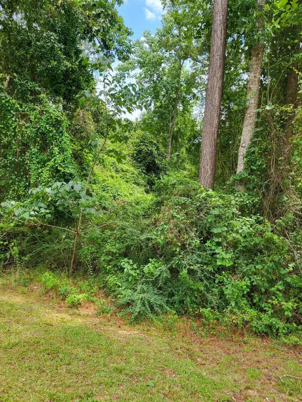 Lot 70 Lakeside Drive, Carriere, MS 39426