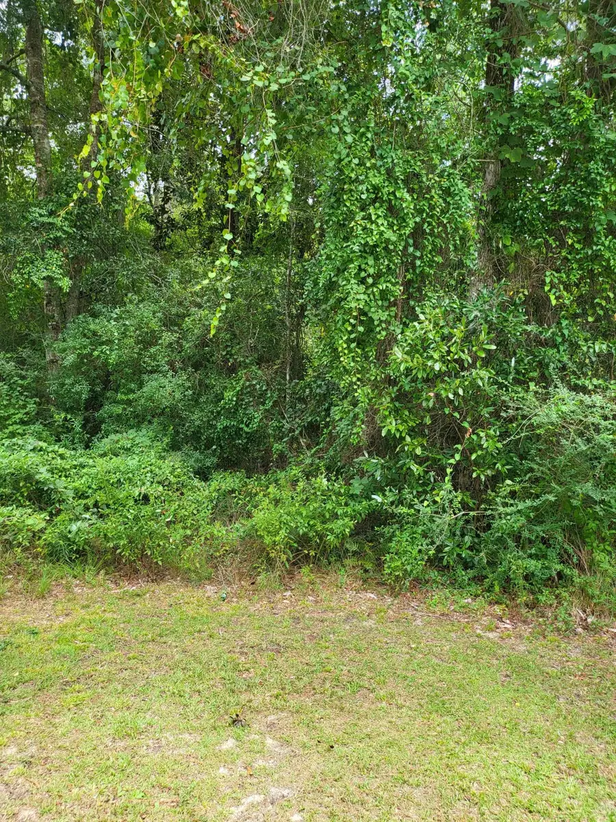 Lot 70 Lakeside Drive, Carriere, MS 39426 - #3