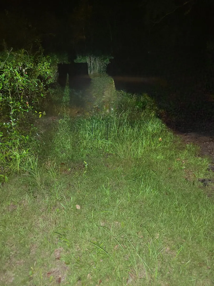 Lot of 3 Satcher Drive, Picayune, MS 39466 - Image #3