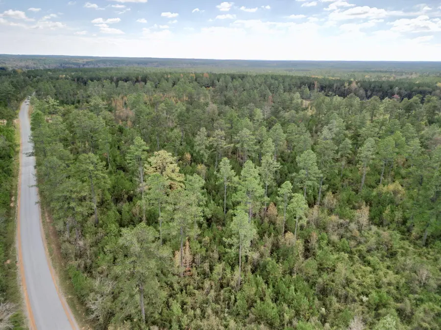 0 Stanford Lake Rd, Poplarville, MS 39470 - Image #2