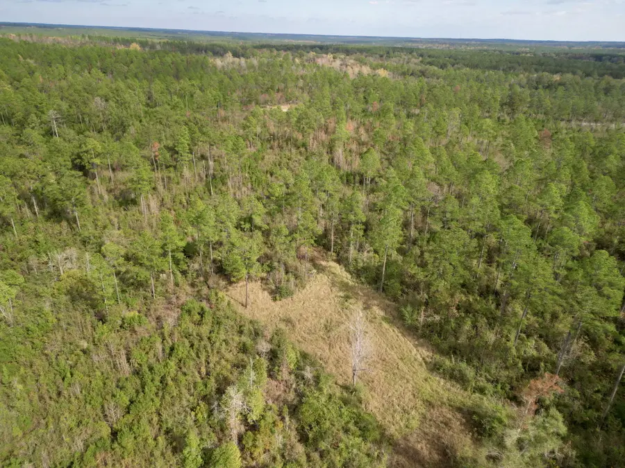 0 Stanford Lake Rd, Poplarville, MS 39470 - Image #3