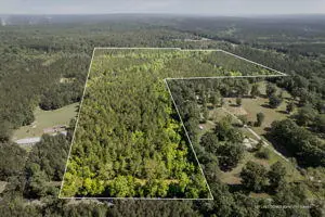 35.8 ac Pearces Rd., Brooklyn, MS 39425 - Image #1