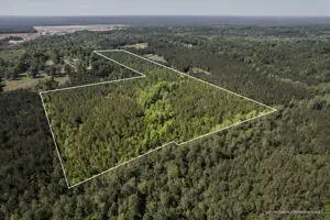 35.8 ac Pearces Rd., Brooklyn, MS 39425 - Image #2