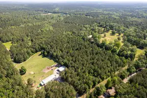 35.8 ac Pearces Rd., Brooklyn, MS 39425 - Image #3