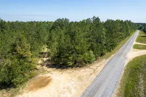 104.06 ac Cozy Corner And Old Hwy 49, Brooklyn, MS 39425 - Image #3