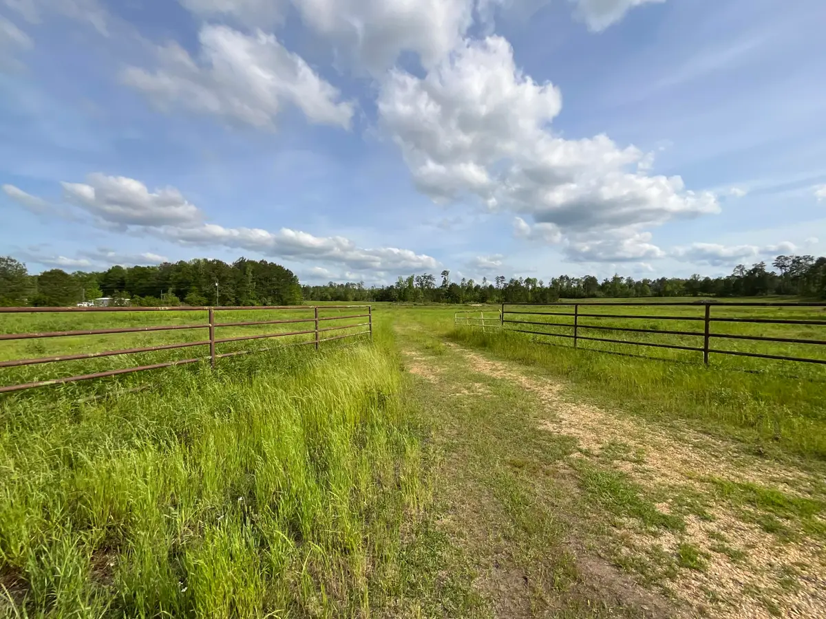 38.6 Acres Fire Tower Rd., Columbia, MS 39429 - #1
