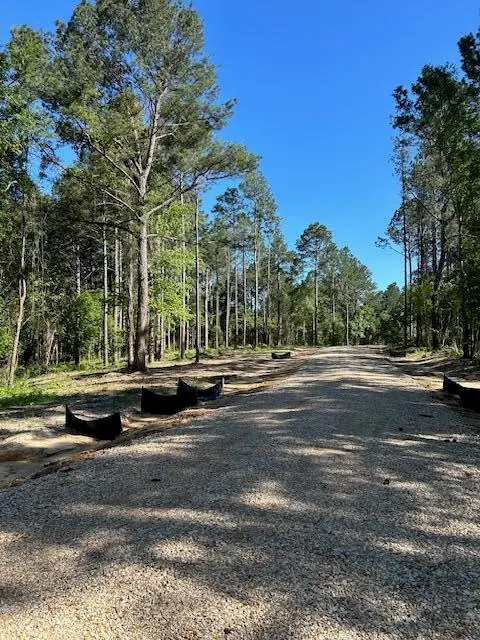 01 Savannah Millard Rd., Poplarville, MS 39470 - Image #2