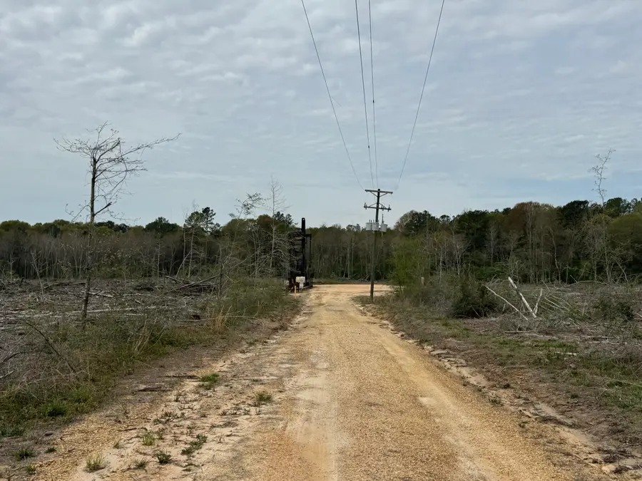00 Dwan Rd., Ovett, MS 39464 - Image #2