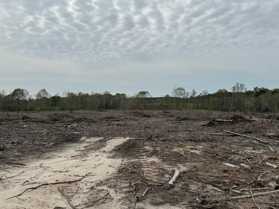 00 Dwan Rd., Ovett, MS 39464 - Image #3