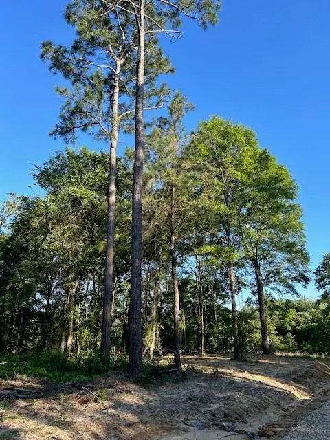 02 Savannah Millard Rd., Poplarville, MS 39470 - Image #2