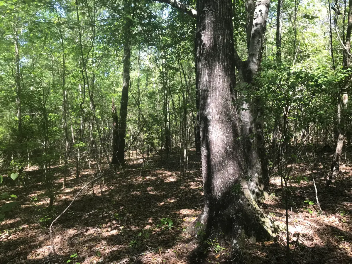 012 Thomas Richard Ln., Hattiesburg, MS 39401 - Image #1