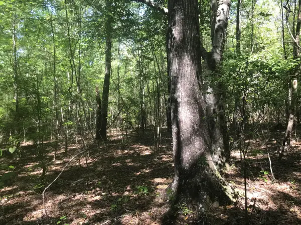 012 Thomas Richard Ln., Hattiesburg, MS 39401