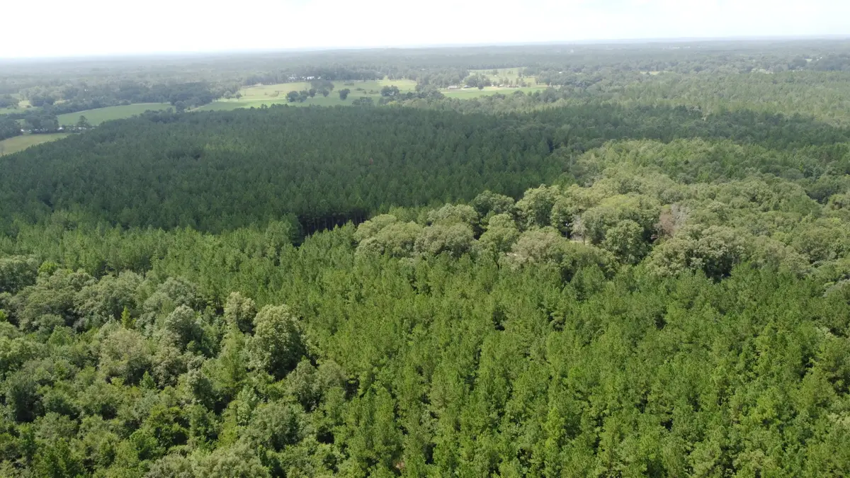 0 Buck Creek Rd., Richton, MS 39476 - Image #1