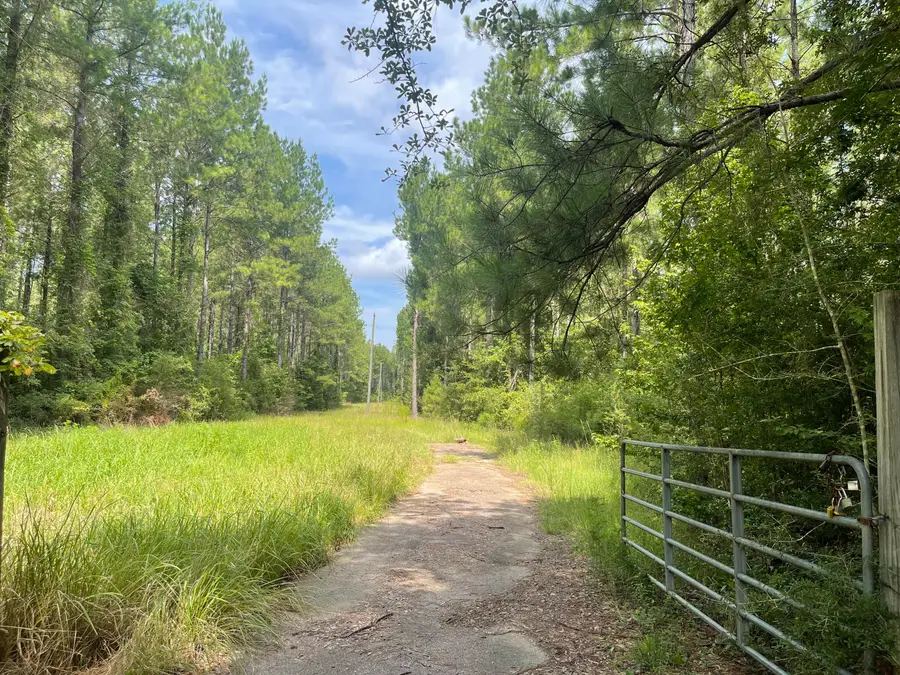 0 Buck Creek Rd., Richton, MS 39476 - Image #2