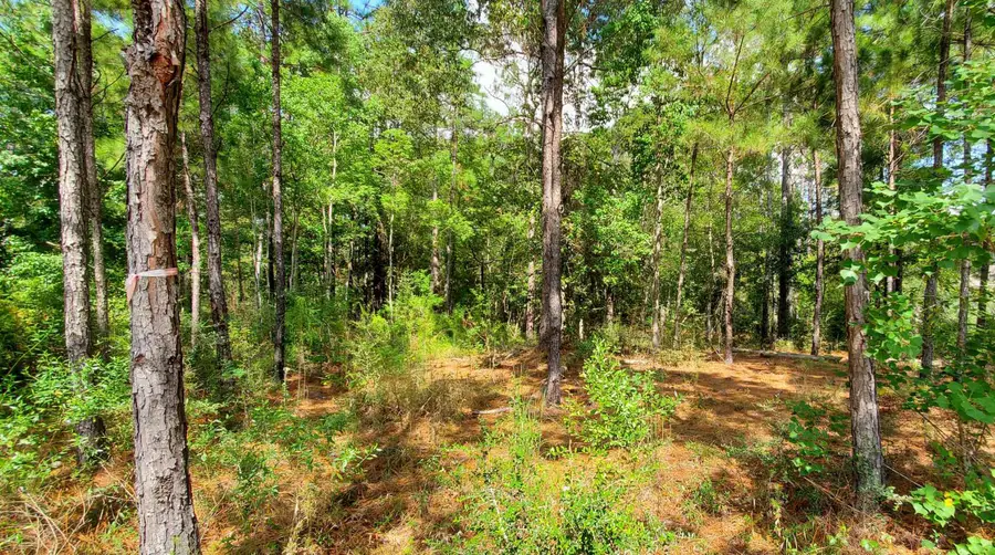 00 Brookhollow Blvd., Hattiesburg, MS 39402 - #3