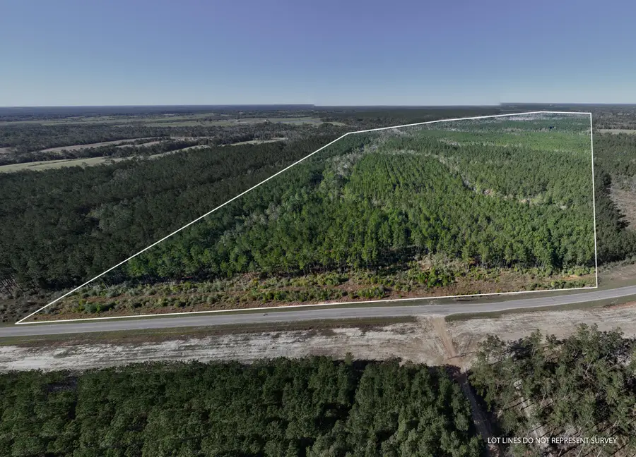 0 Mc Neil Steephollow Rd, Poplarville, MS 39470 - Image #2