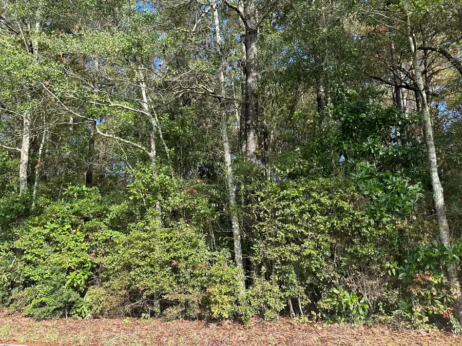 00 Graham Dr., Laurel, MS 39443 - Image #3