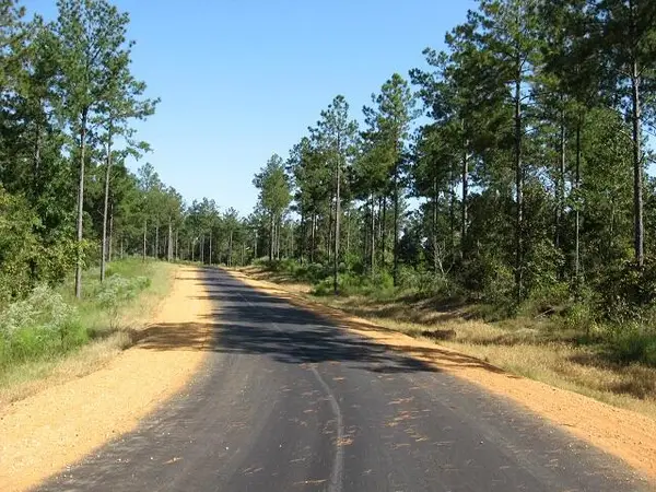 Lot 23 Jo Ann Dr., Sumrall, MS 39482