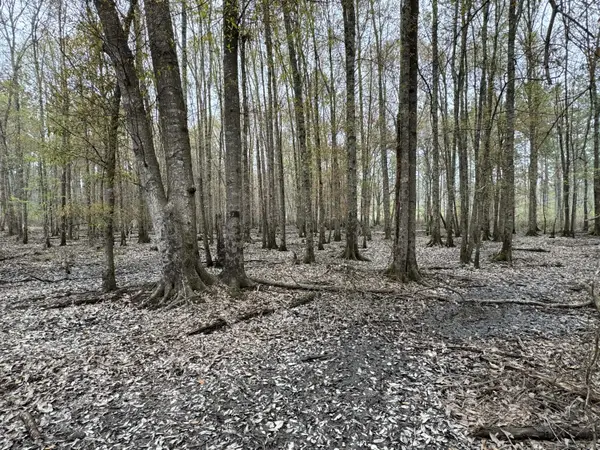 0 Ms-15, Ellisville, MS 39437