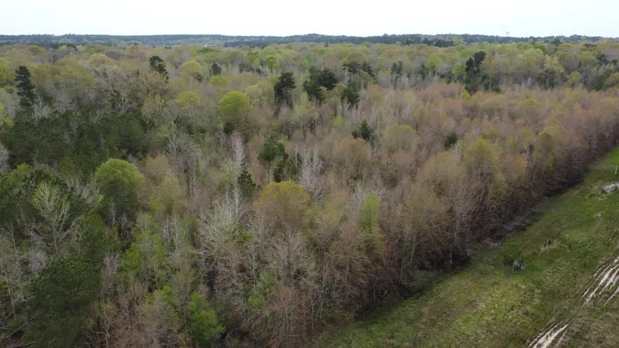 0 Ms-15, Ellisville, MS 39437 - Image #2