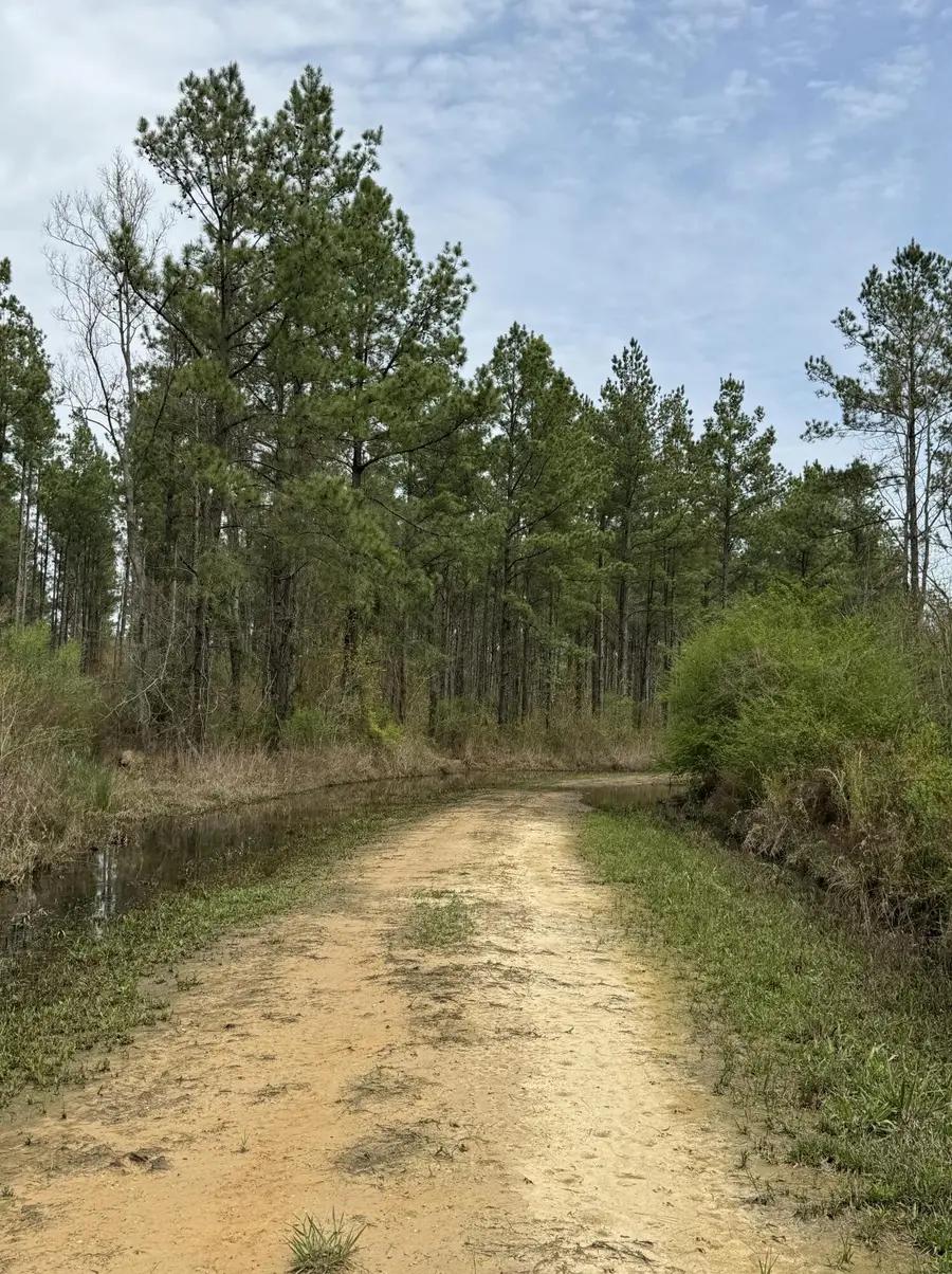 0 Ms-15, Ellisville, MS 39437 - Image #3