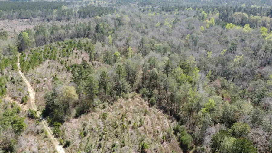 0 Otho Seals Rd., Lumberton, MS 39455 - Image #2