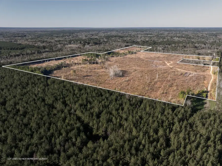 84 ac Hattie Ln., Columbia, MS 39429 - Image #2