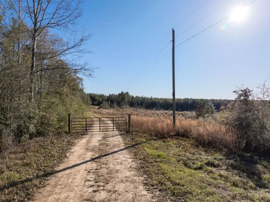 84 ac Hattie Ln., Columbia, MS 39429 - Image #3