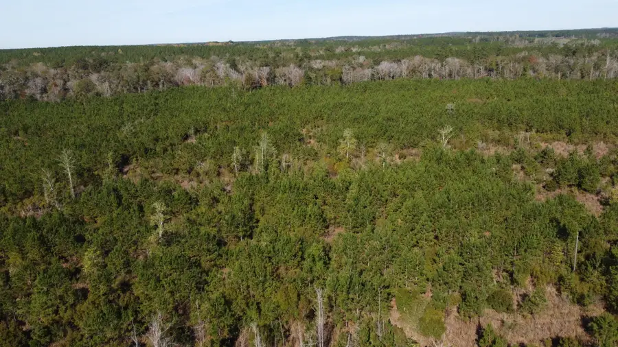 00 Stanford Lake Rd., Poplarville, MS 39470 - Image #2